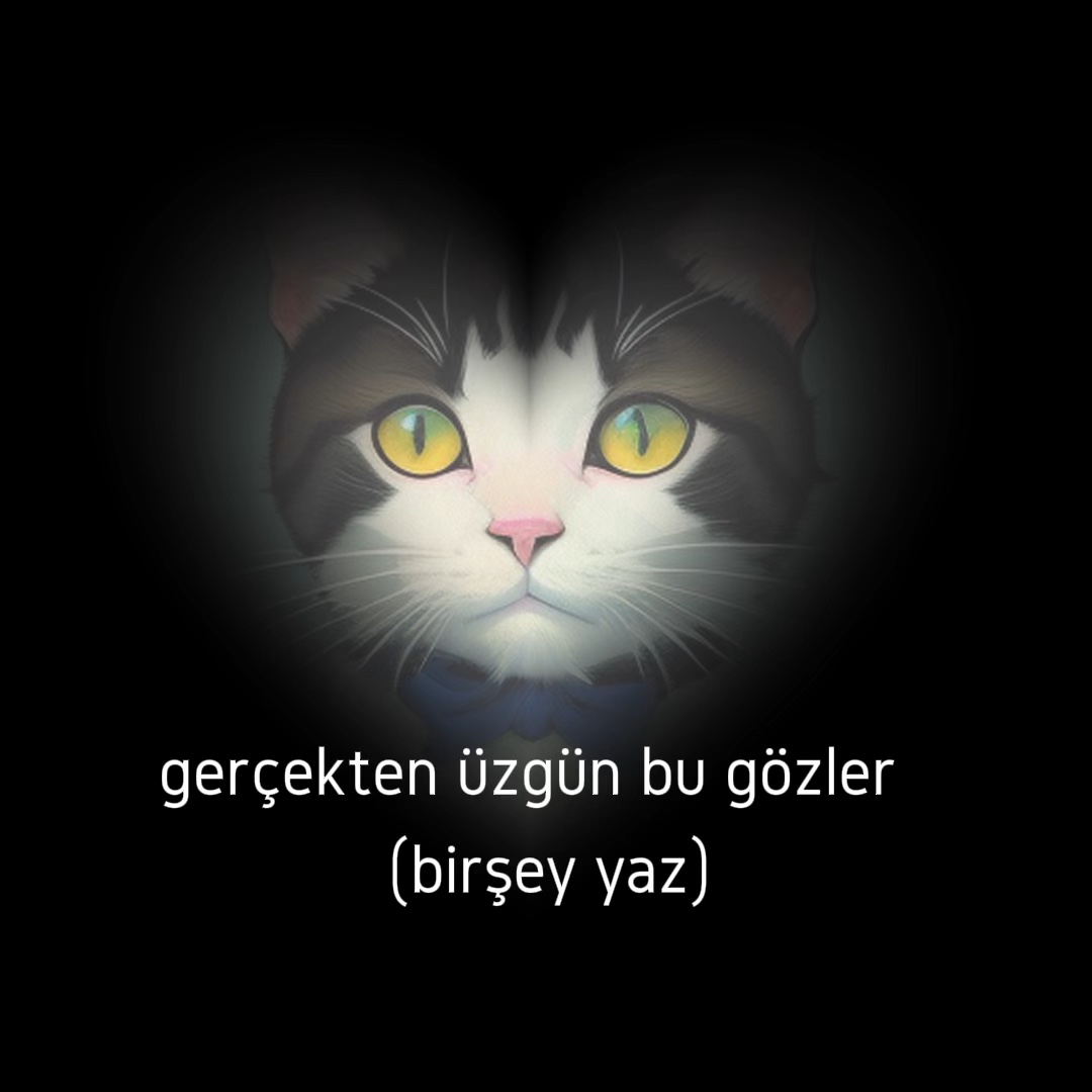 biseyler yaptim iste