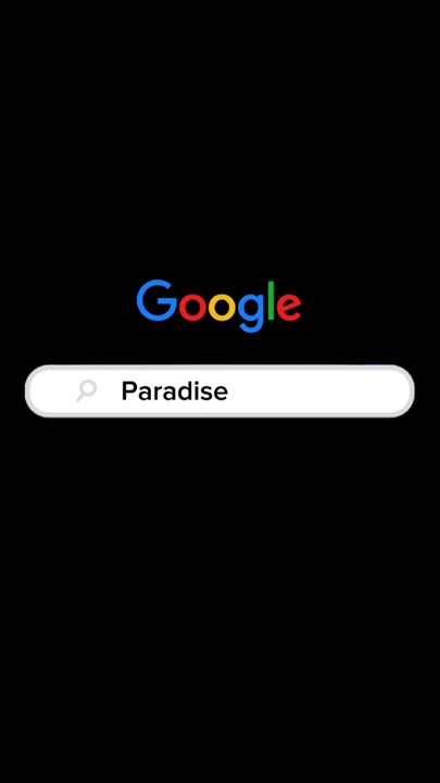 Google Interface