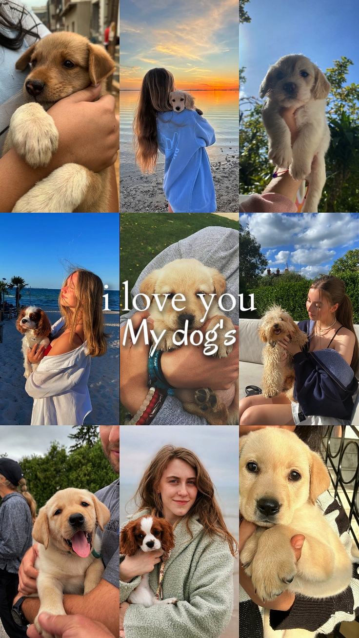i love you my dog