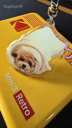 토리가 하는 말
