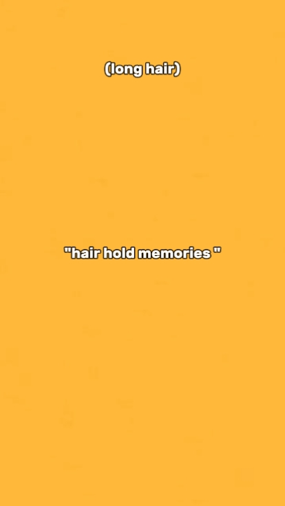memories 
