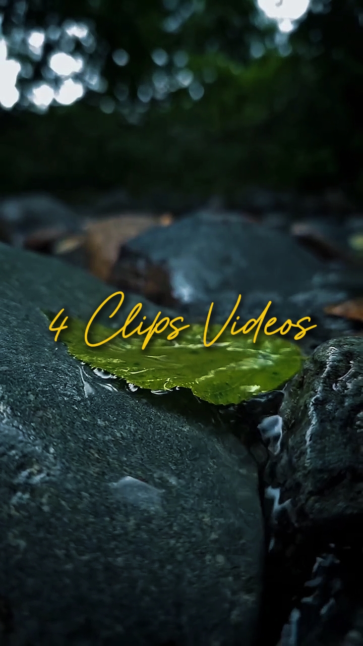 Cinematic 4 Videos