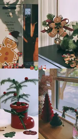 Christmas 2024🎄✨