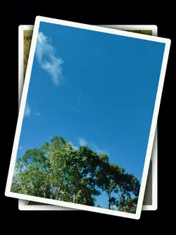 6Pic Aesthetic Trend