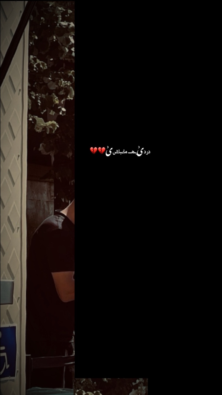 ￫ ل دانه دانه😻
