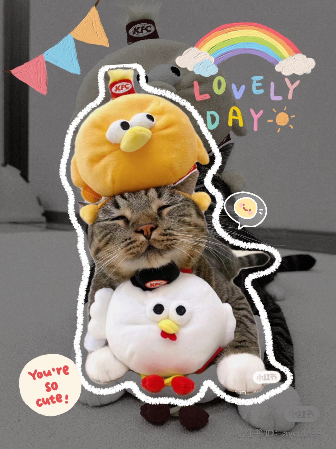 Mtitude u cắt ảnh Mèo