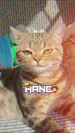 เพลงใหม่มาแรง