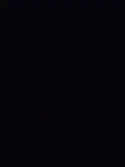 수학