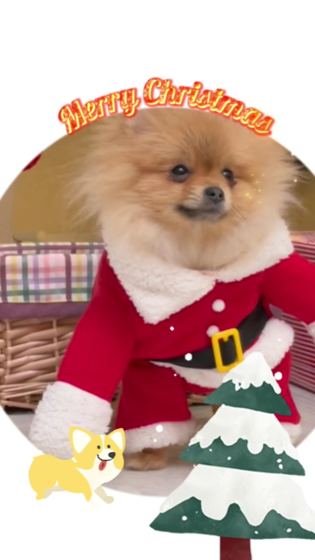 Masque de compte à rebours minimaliste pour animaux de compagnie de noël c2b tenue de noël de style blanc pour chiens