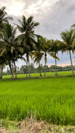 Province Core