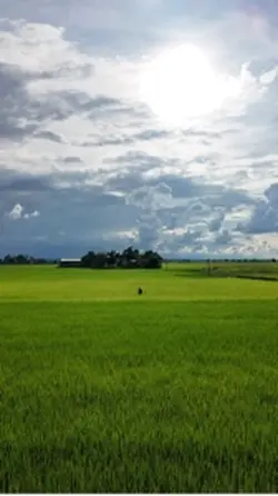 Bình an