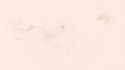 OPENING YOUTUBE