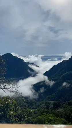 ธรรมชาติบำบัด