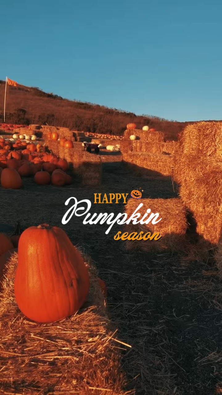 Pumpkin season 