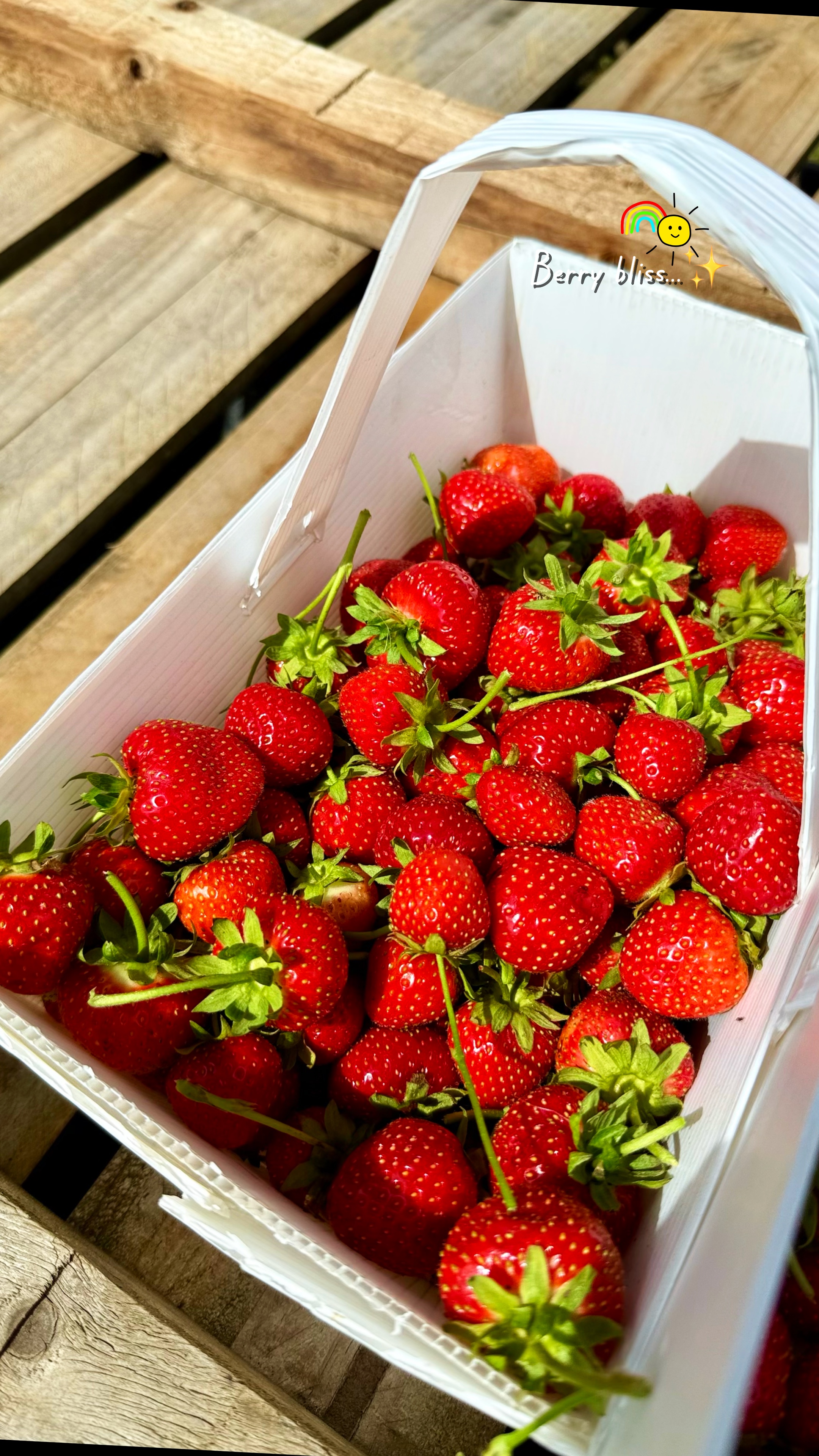 Cueillette de fraises.❤️