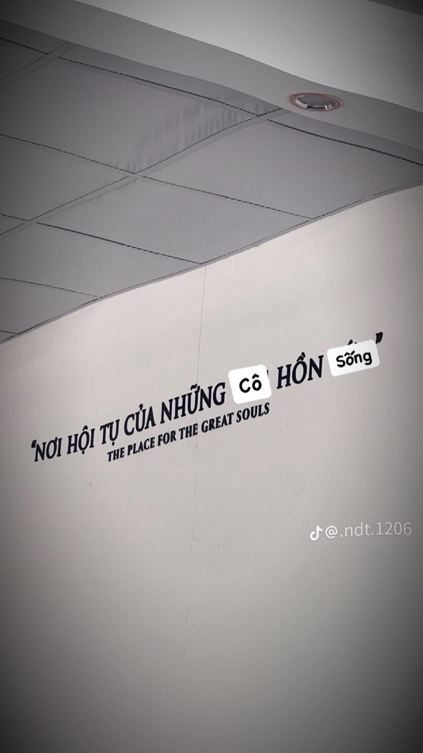 Những cô hồn sống