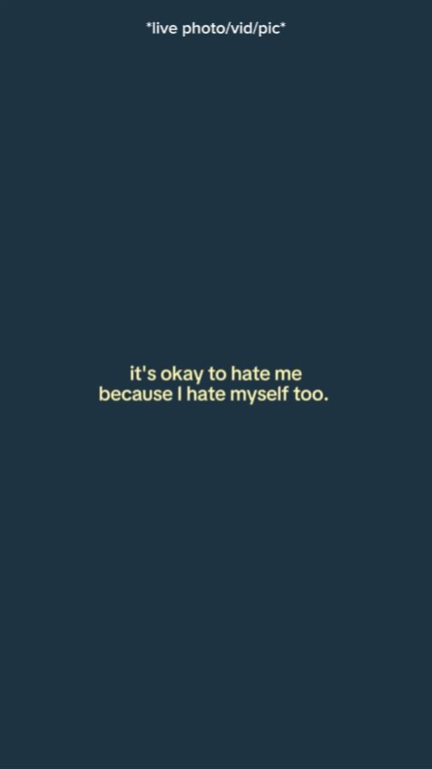 it's okay to hate me