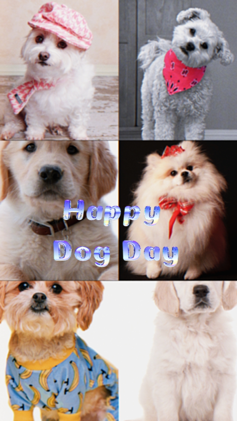 Happy Dog Day
