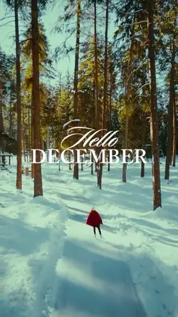 HELLO DECEMBER 