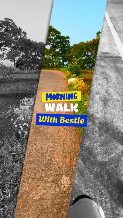 Paseo matutino