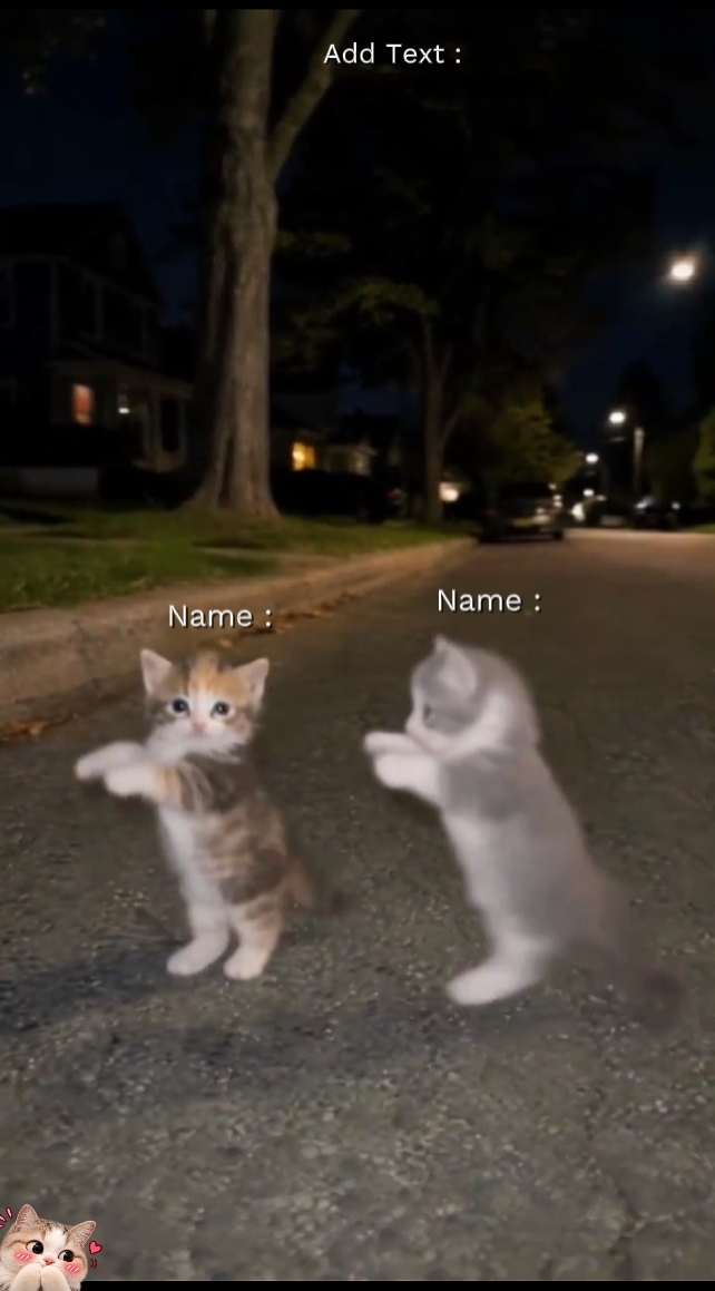 Tanz Katze Trend 