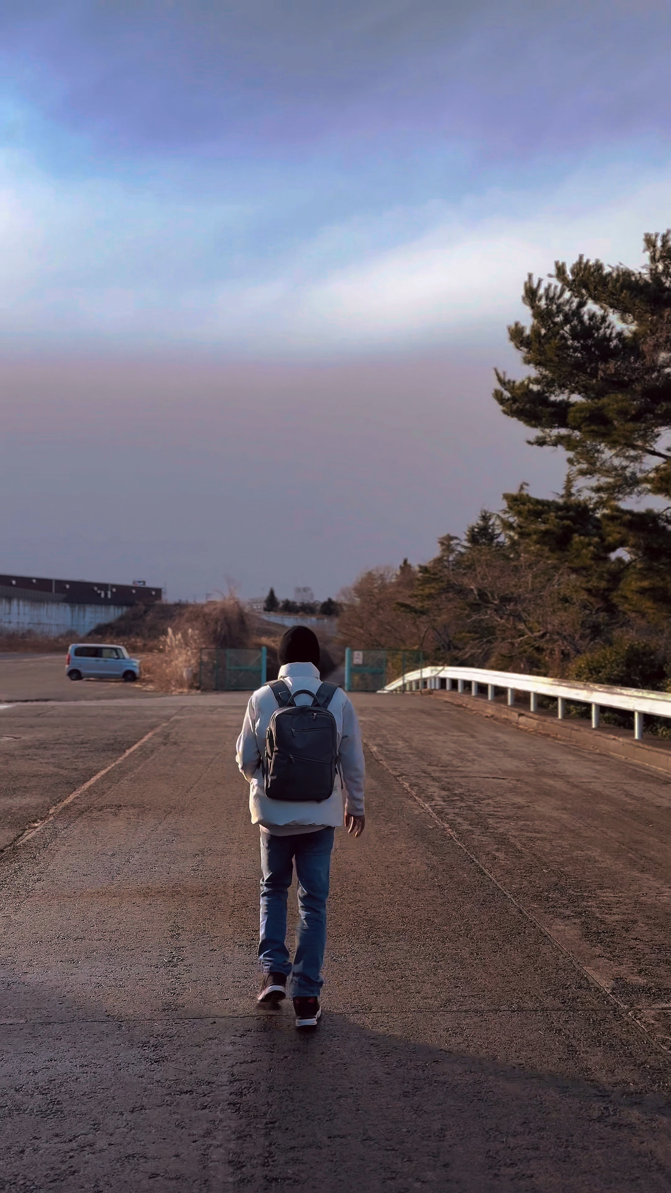 Cover Picture