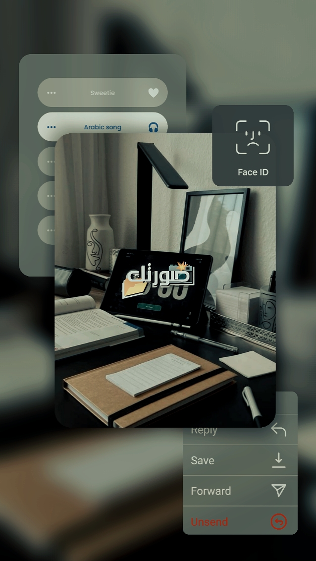 Cover Picture