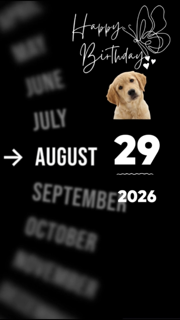 HBD Dogs