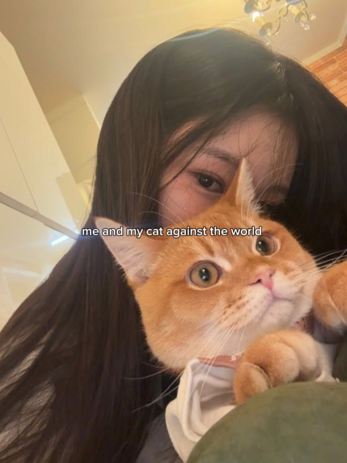 고양이와 셀카 