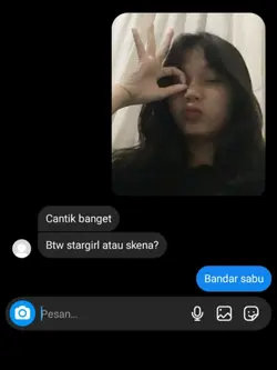stargirl atau skena?