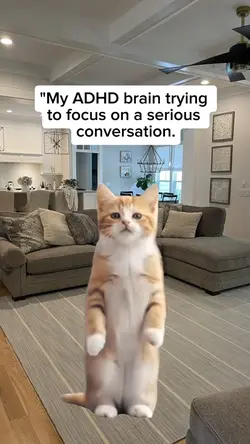 my adhd brain trying