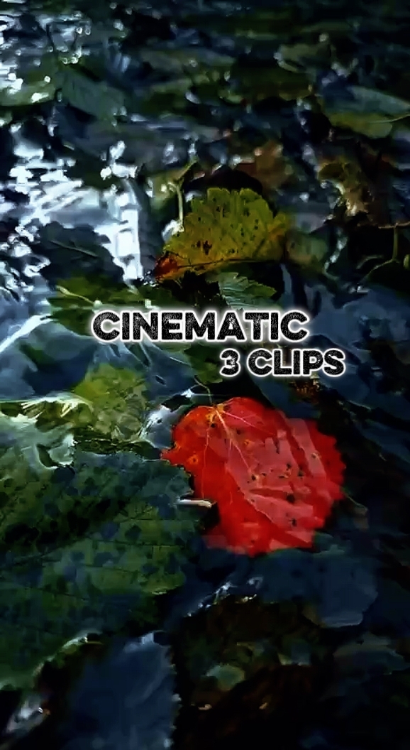 3 video
