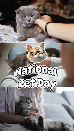 National Pet Day 