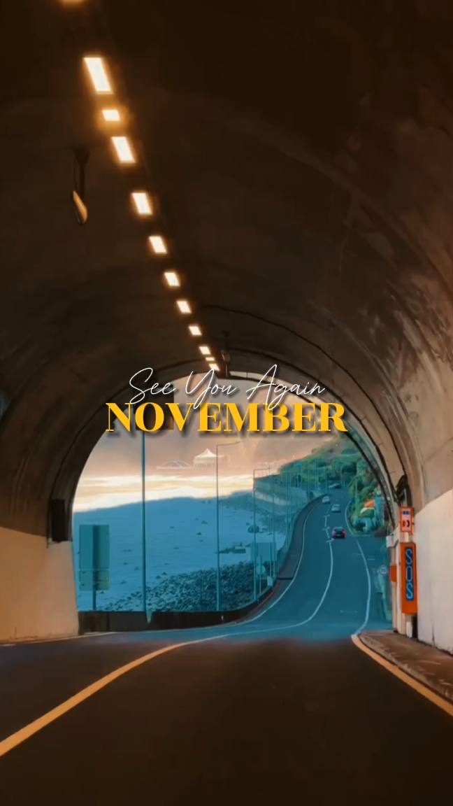 ATÉ NOVEMBRO