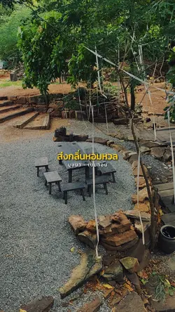 บุษบา (เมนทอน)