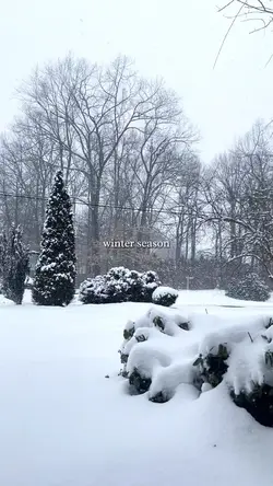winter season