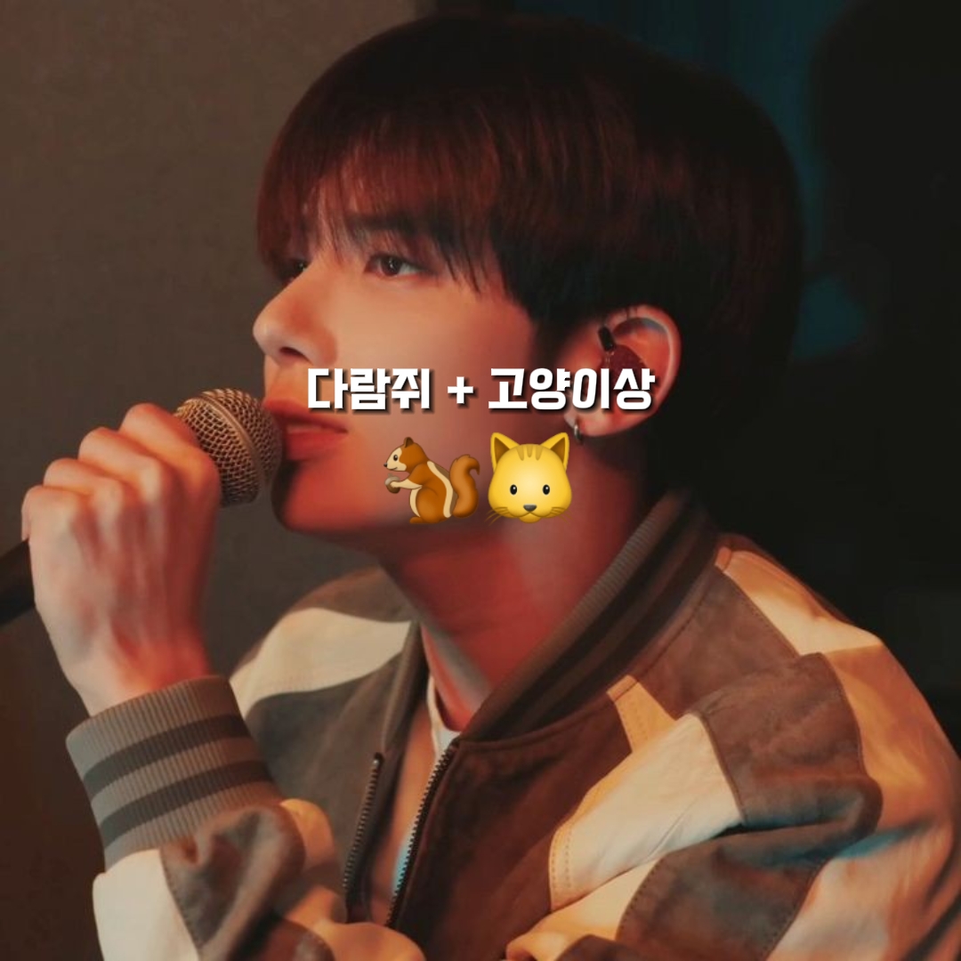 해피풀즈 강고앵이 버전!