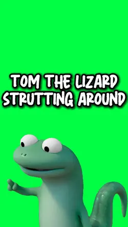 TOM THE LIZARD SILLY