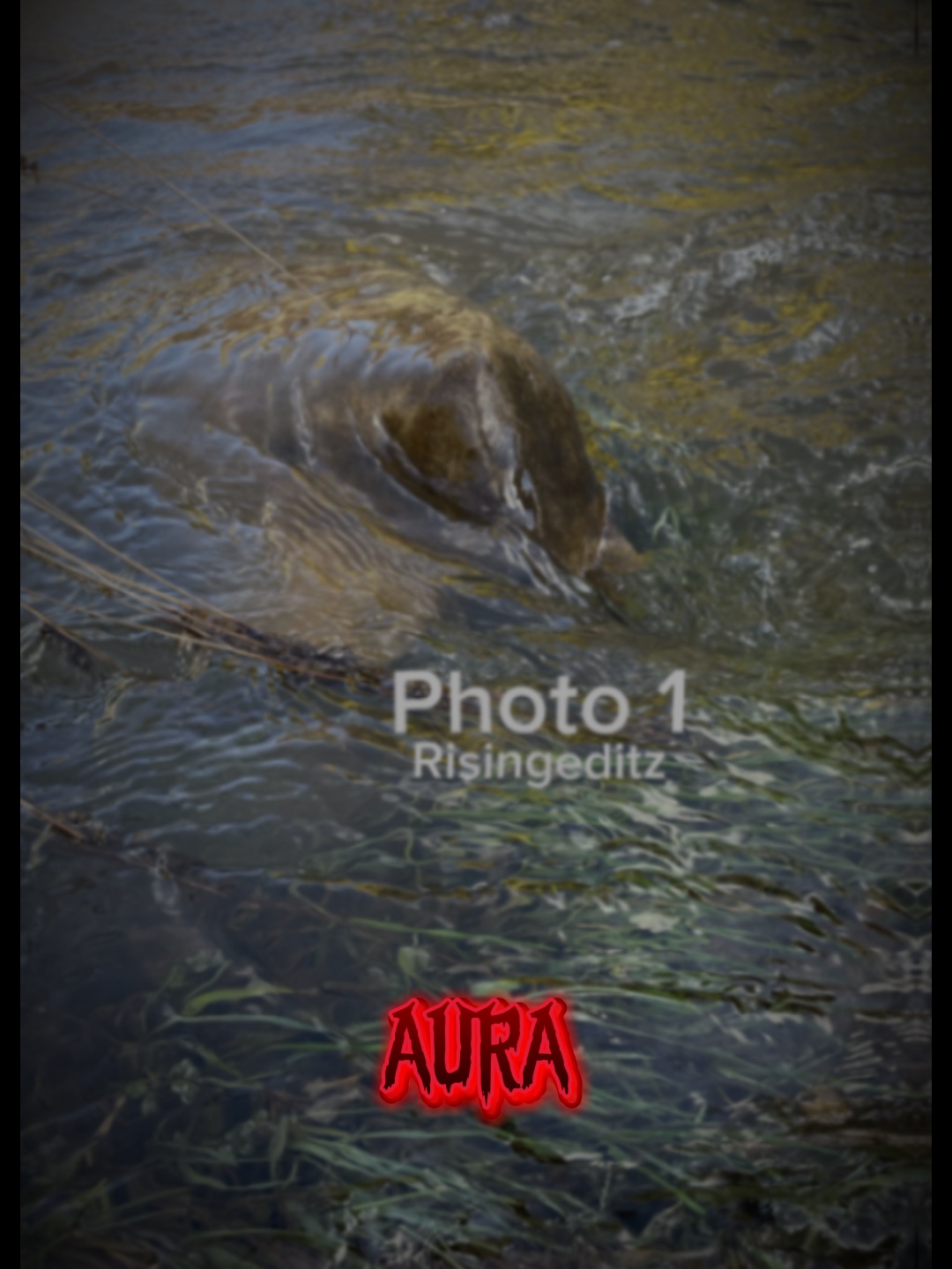 Aura (sunting)