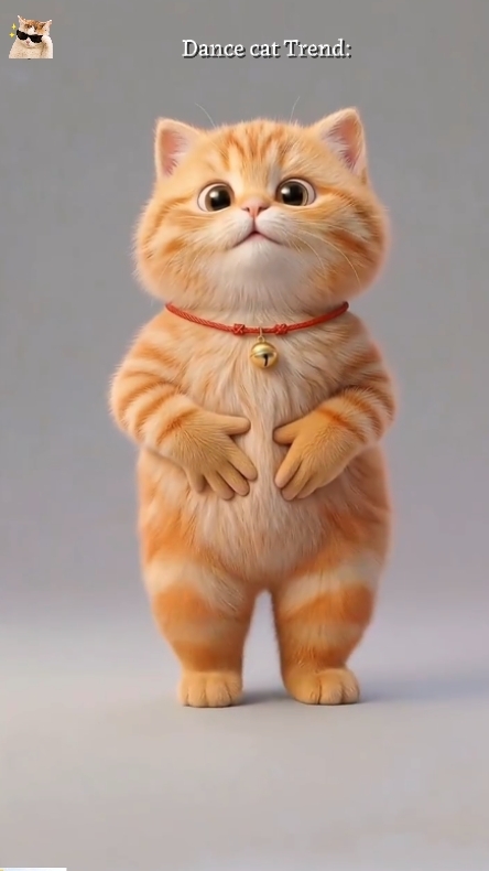 Lustige Katze
