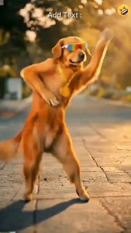 Komik Köpek, 