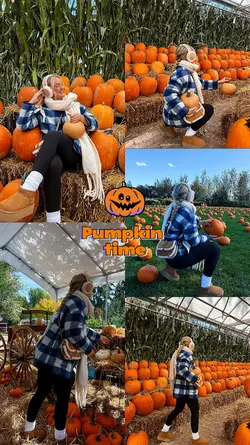 Pumpkin time