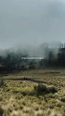 singkat padat brngkt