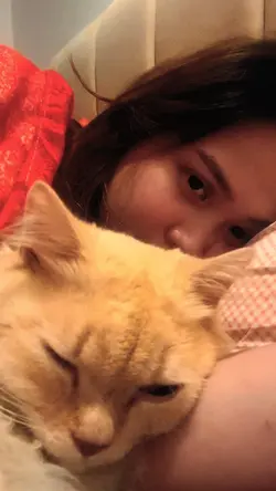 Alagang pusa 