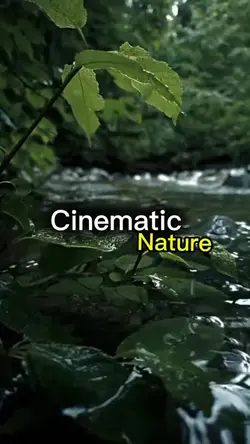cinematic nature