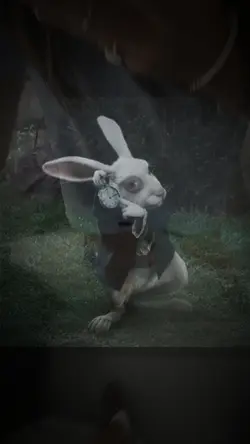 whiterabbit