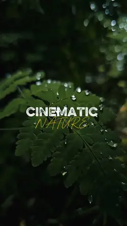 CINEMATIC NATURE 