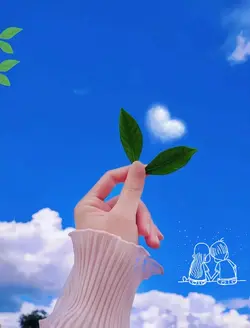 Aesthetic 