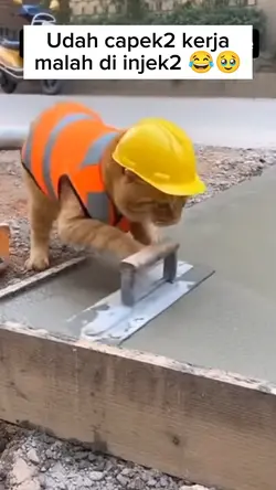 kan kan ngamuk jdiny