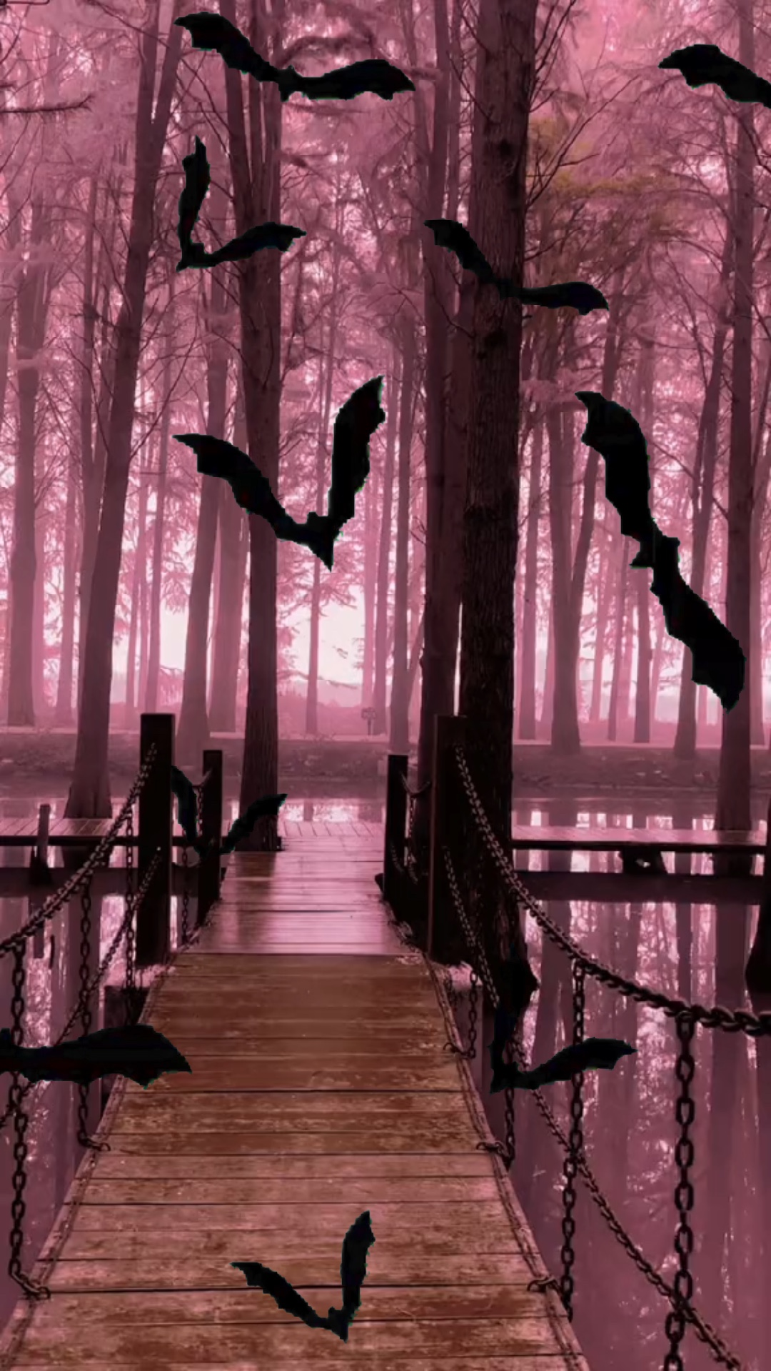 Chauves-souris 🦇